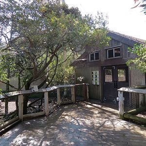 African Savanna - African Aviary