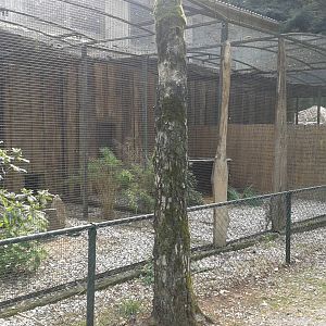 Serval enclosure