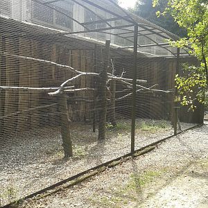 Ruffed lemur enclosure