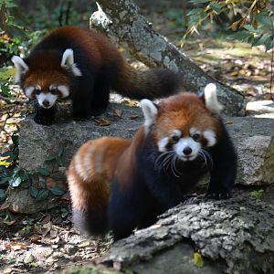 Dr. Erin Curry and Her Mother Lin - 10/26/15