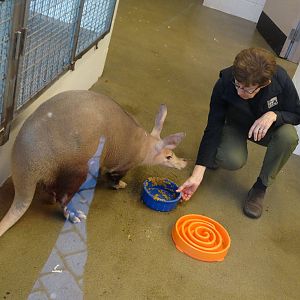 Oct. 2015 - Children's Zoo - Ali Interaction