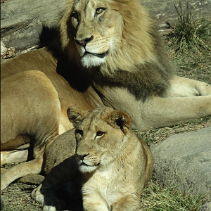 Oct. 2015 - Africa - John and Daughter