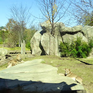 Oct. 2015 - Africa - The Family