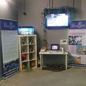 Information at Underwater viewing room