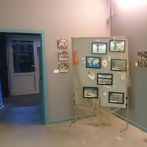 More information at Underwater viewing room