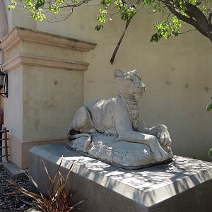 International Marketplace