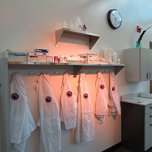 Children's Discovery Center - California Condor Rescue Zone