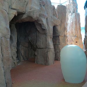 Children's Discovery Center - California Condor Rescue Zone