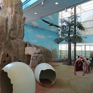 Children's Discovery Center - California Condor Rescue Zone