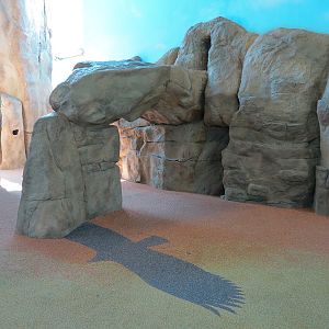 Children's Discovery Center - California Condor Rescue Zone