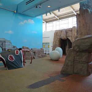 Children's Discovery Center - California Condor Rescue Zone