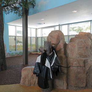Children's Discovery Center - California Condor Rescue Zone