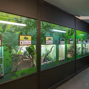 Reptile House (interior) : Bristol : 19 Oct 2015