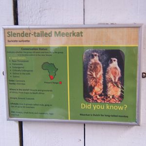 Beaver Hall Farm Park