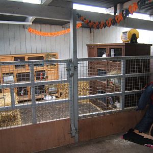 Beaver Hall Farm Park