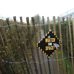 One of the next development areas