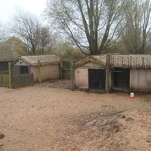 View of African Village encounter