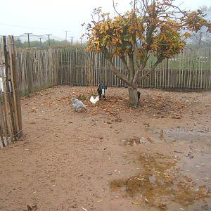 View of African Village encounter