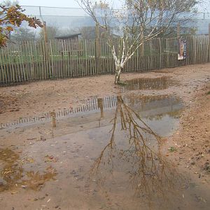View of African Village encounter