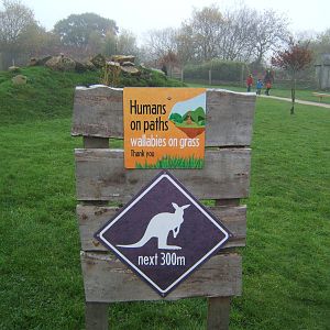 How things have changed from the opening weekend!