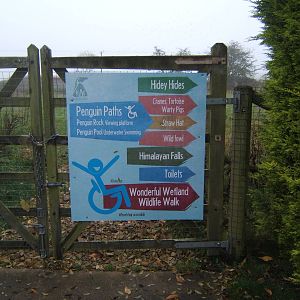 Direction signage