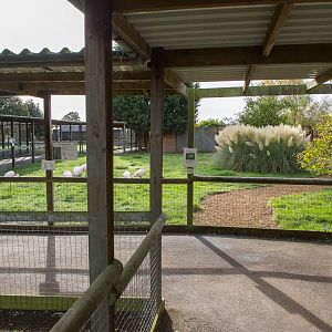 New path : Hamerton : 25 Oct 2015