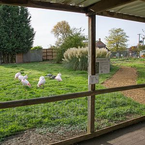 New path : Hamerton : 25 Oct 2015