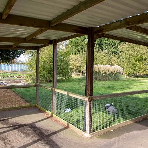 New path (etc) : Hamerton : 25 Oct 2015