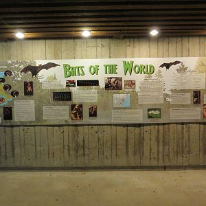 Burrows and Caves of Africa signage - 1 of 2