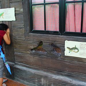 Mississippi River zone