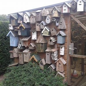Nest boxes