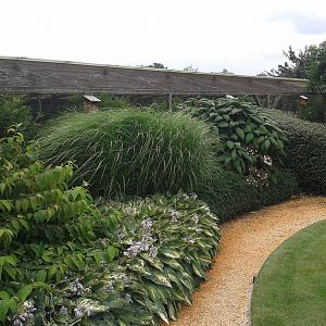 Landscaping in front of aviaries