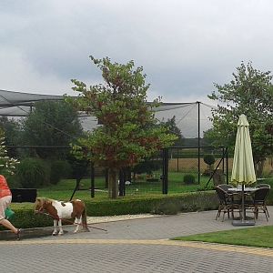 View on the large aviary