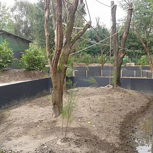 Construction-site new Marmoset enclosures