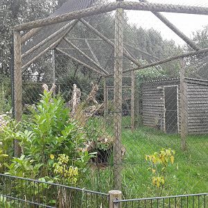 Small cat enclosures