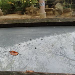 Oct. 2015 - Wildlife Canyon - Gone...