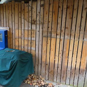 Oct. 2015 - Wildlife Canyon - Sumatran Rhino Info Taken Down