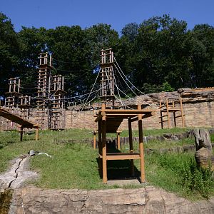 Bornean orangutan exhibit