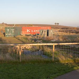 Coming Soon : Hamerton : 01 Nov 2015