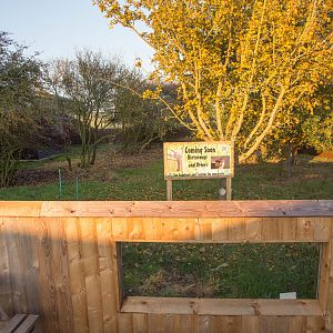 Coming Soon : Hamerton : 01 Nov 2015