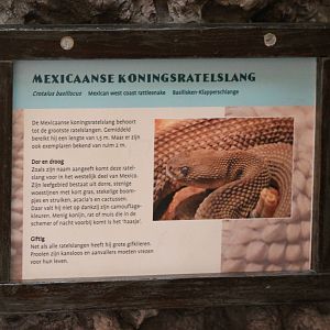 Sign Mexican west coast rattlesnake