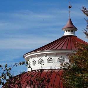 Nov. 2015 - Reptile House