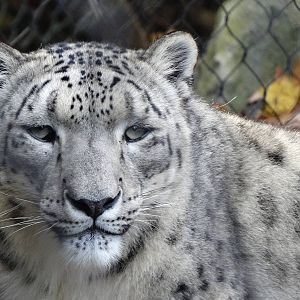 Nov. 2015 - Cat Canyon - Nubo