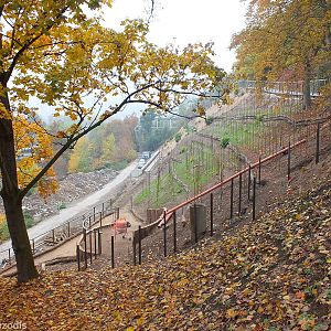 Construction Area for a New Parrot Exhibit