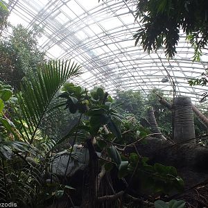 View over the Indonesian Jungle Pavilion