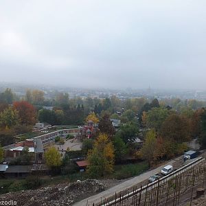 View Over the Lower Part of the Zoo