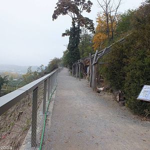Parrot Aviaries with a View
