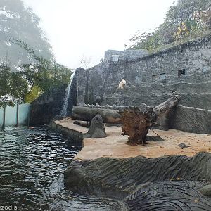 Polar Bear Enclosure