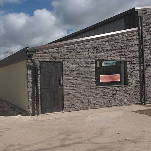 Progess on Black Rhinoceros development, 28th April 2015