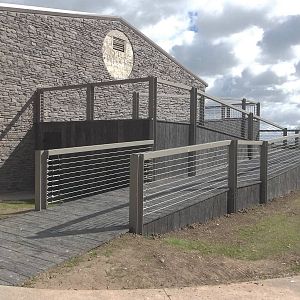 Progess on Black Rhinoceros development, 28th April 2015